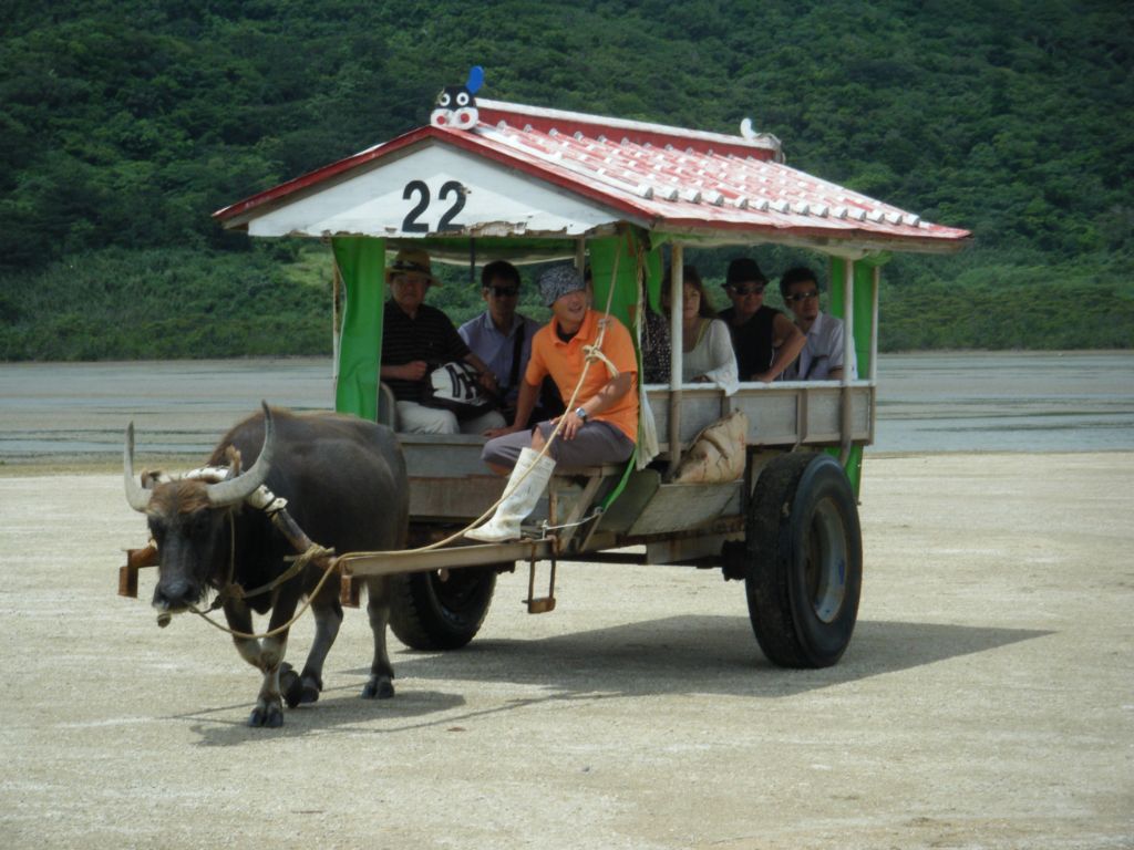 社員旅行
